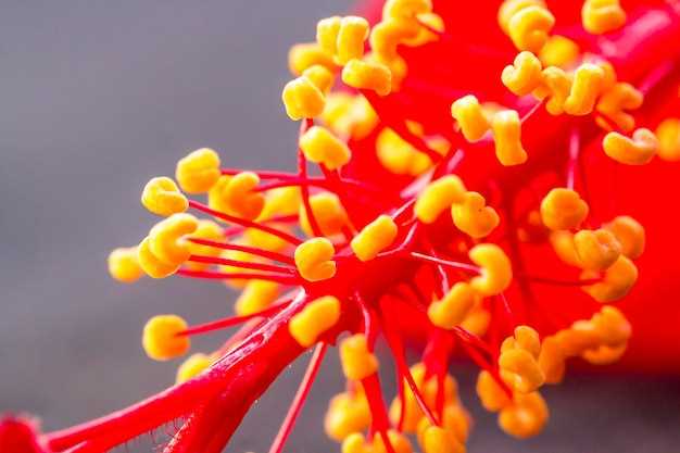 Clonidine dyskenesia