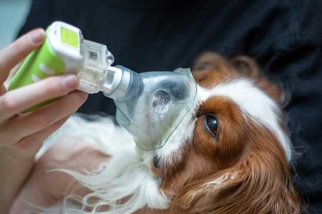 Clonidine for separation anxiety in dogs
